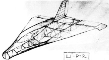 Li P.12.jpg